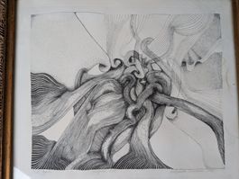 Lithographie signiert und nummeriert