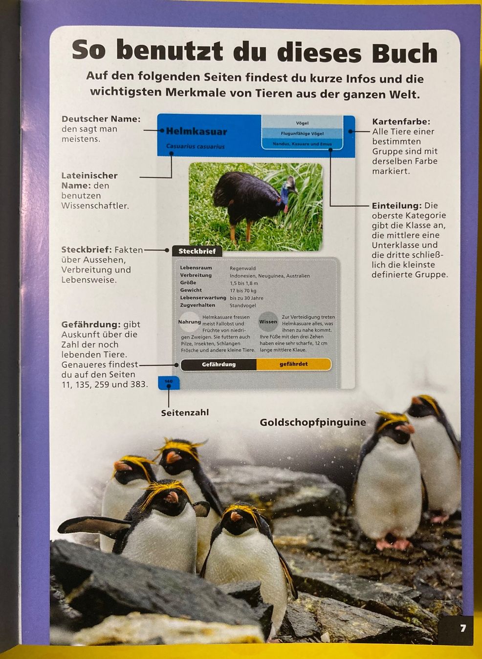 Libri: Taschenlexikon der Tiere – Usato da Basel venduto da AufeinenBlick 3