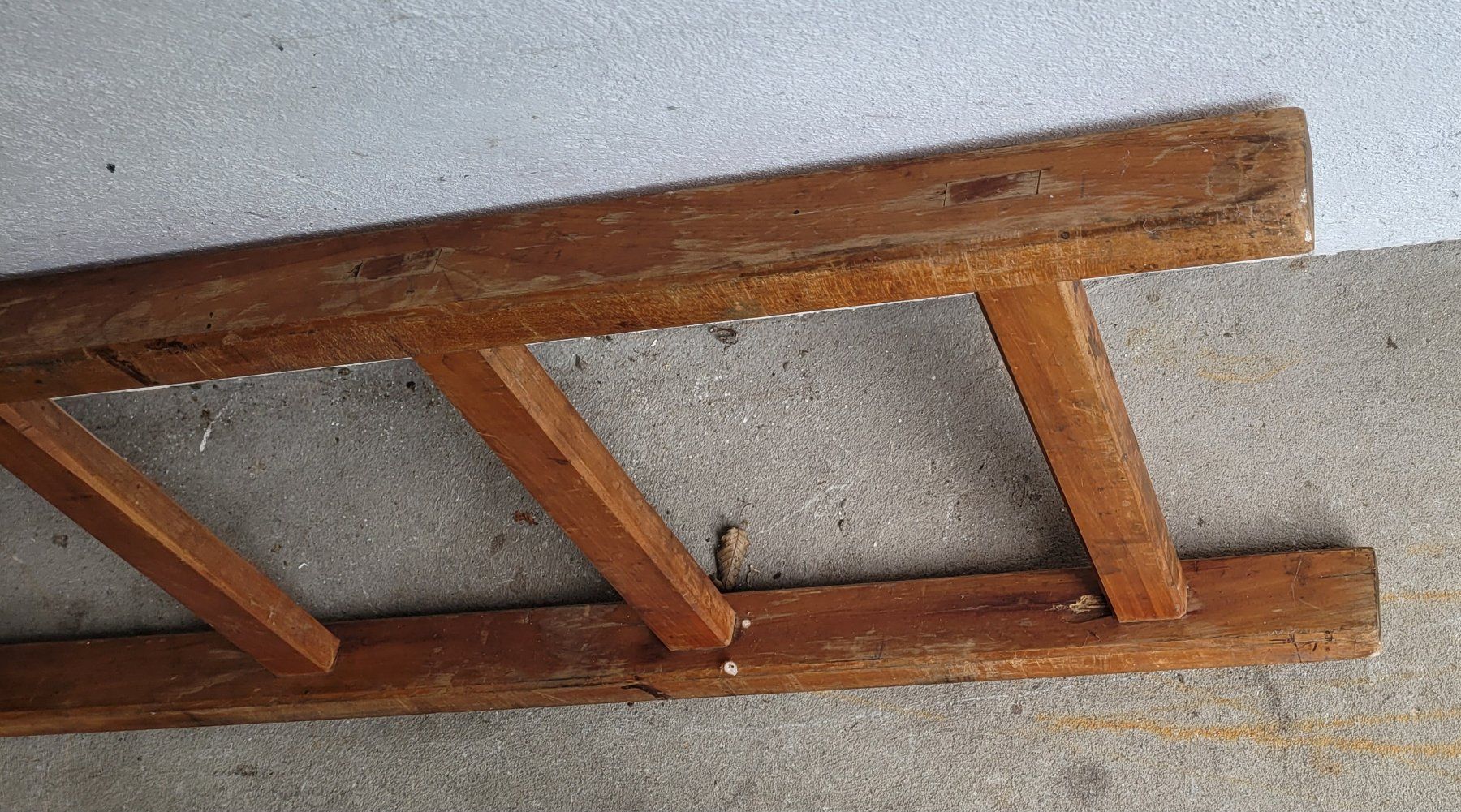 Leitern: Holzleiter – Gebraucht aus Bischofszell von -fr-5 3