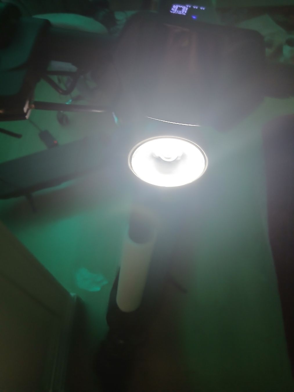 Scooters: Niu KQi3  – Neuf avec emballage d'origine à Tagelswangen par son_z88g 1