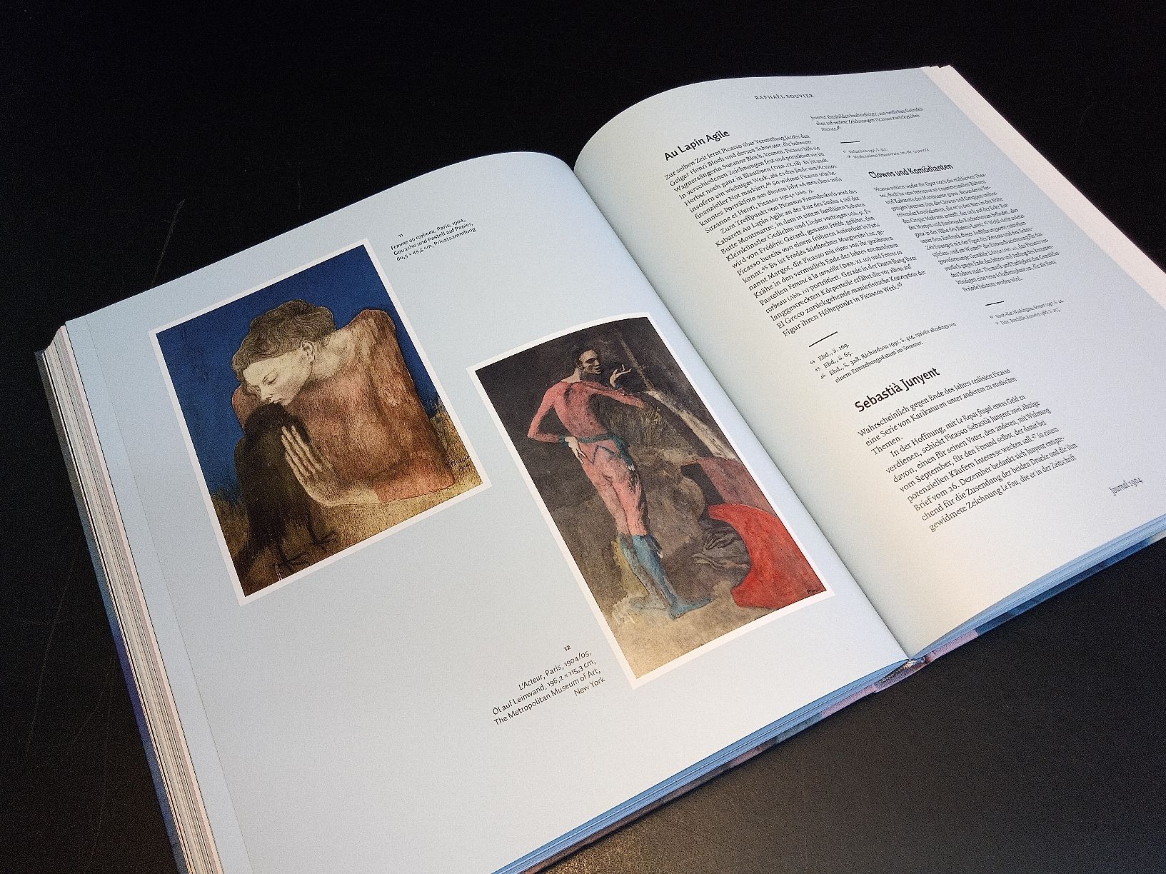 Libri: Picasso Blaue und Rosa Periode Buch neuwertig – Nuovo (secondo la descrizione) da Reiden venduto da Zofi-Brocki 4