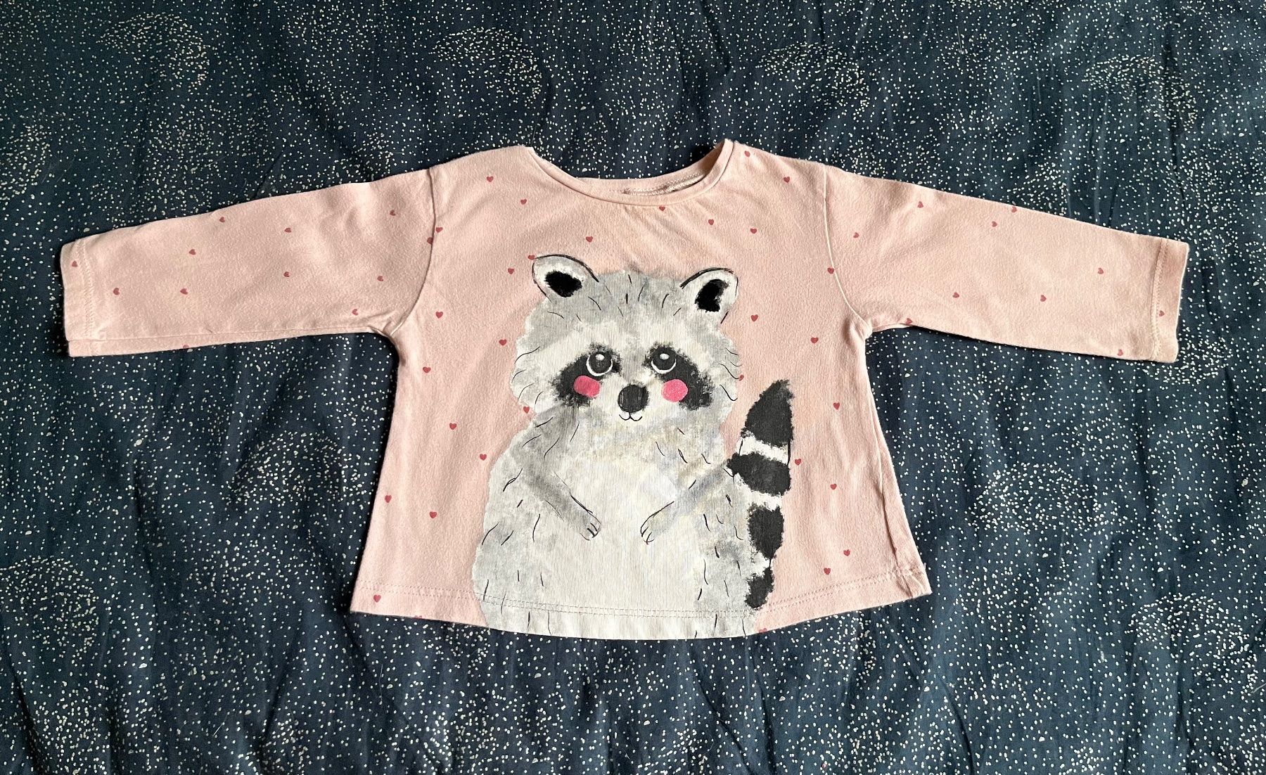 Zara Pullover & Sweatshirts: Oberteil von Zara, Grösse 9-12 Monate – Gebraucht aus Triboltingen von zimtsterndli5