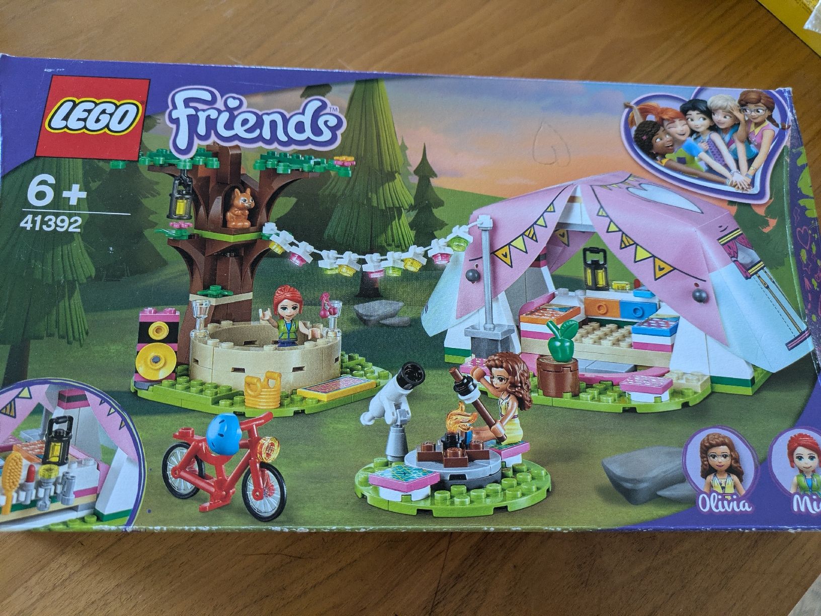 Lego Giocattoli: Lego Friends camping – Usato da Pully venduto da FlorWoll