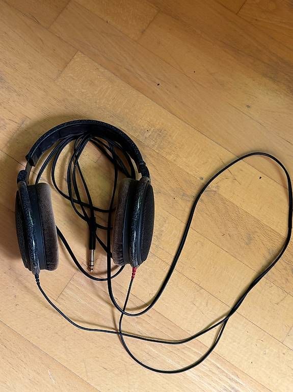 Cuffie: sennheiser hd 600 offener studio-kopfhörer – Usato da Zürich venduto da jan_mck9