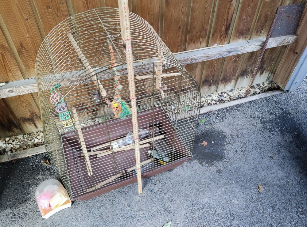 Sitemapcdatahttpapsmixel Thicoipeinfocage Oiseaux Occasion Particuliernull