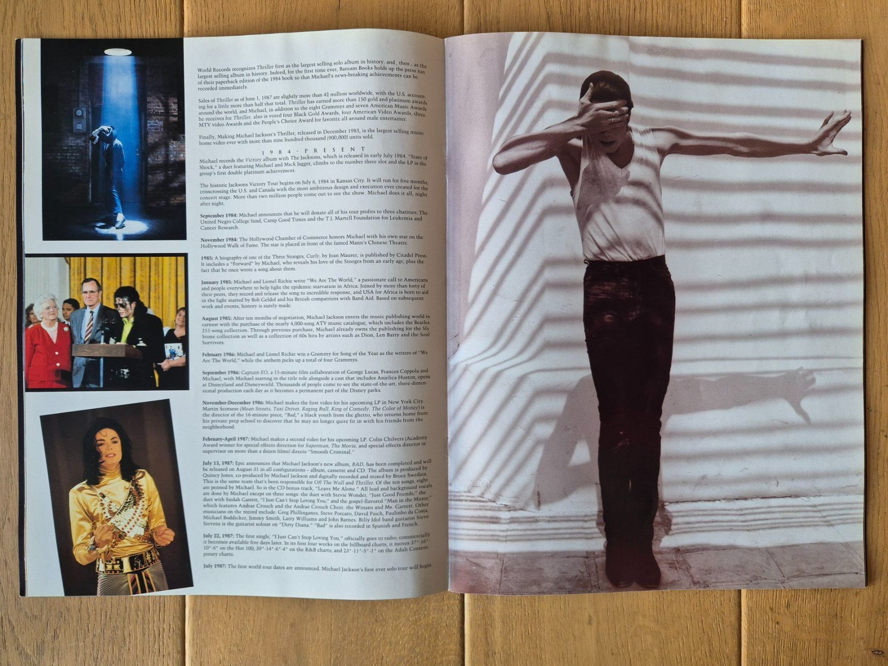 Livres: Michael Jackson Dangerous World Tour programme A4 – D'occasion à Savièse par coeur88 1