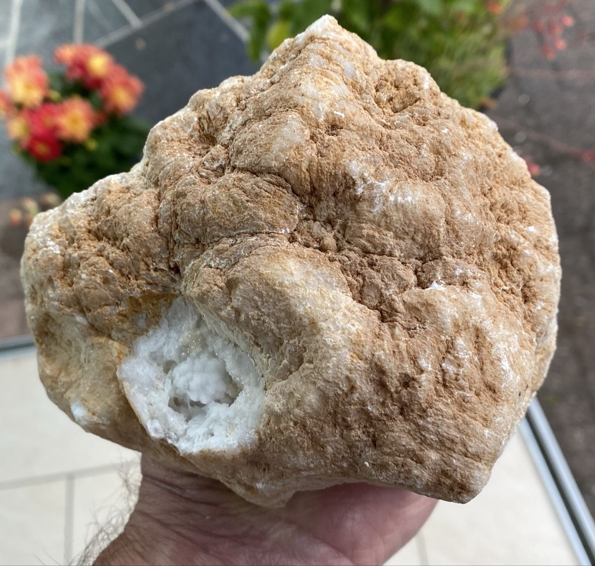Mineralien & Heilsteine: Top grosse Quarz Geode  – Gebraucht aus Selzach von 321compac 7