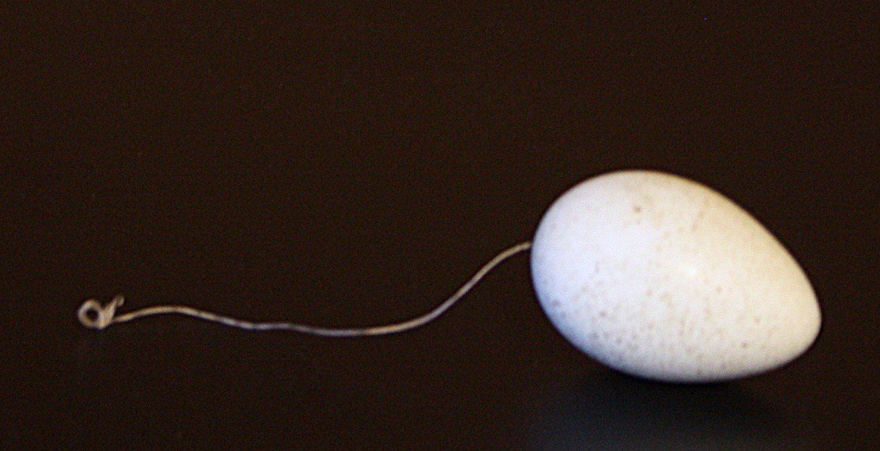 Tutte le decorazioni: Ei Osterdeko – Usato da Flüelen venduto da Diversicum-Shop 3