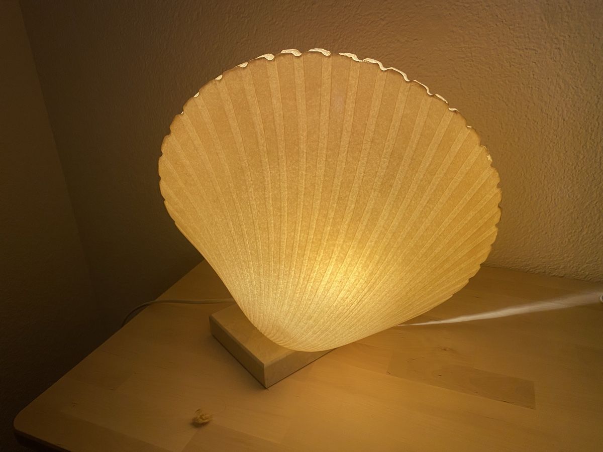 Lampen: Muschellampe Designer - Gebraucht – Gebraucht aus Beromünster von sar_kn2d 1
