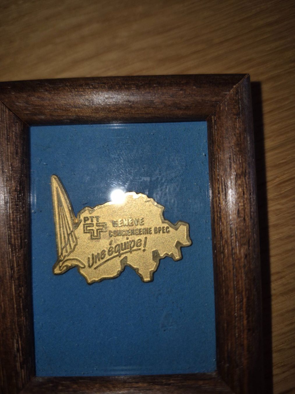 Placchette & Badge: Pin PTT Geneve – Usato da Buttikon SZ venduto da sefa02