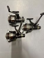 3x Karpfenrollen Lineaeffe-60