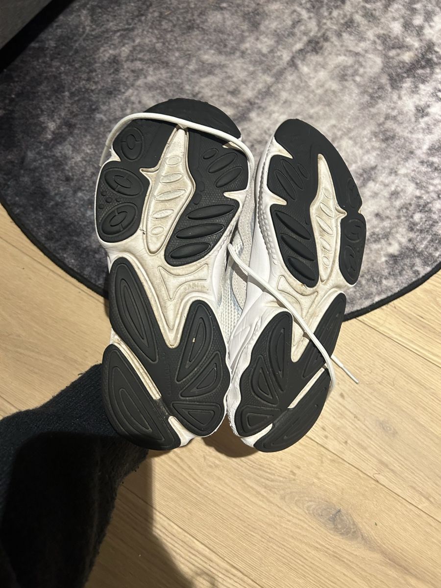 Adidas Scarpe da uomo: adidas ozwego – Usato da Winterthur venduto da noe_55x7 4