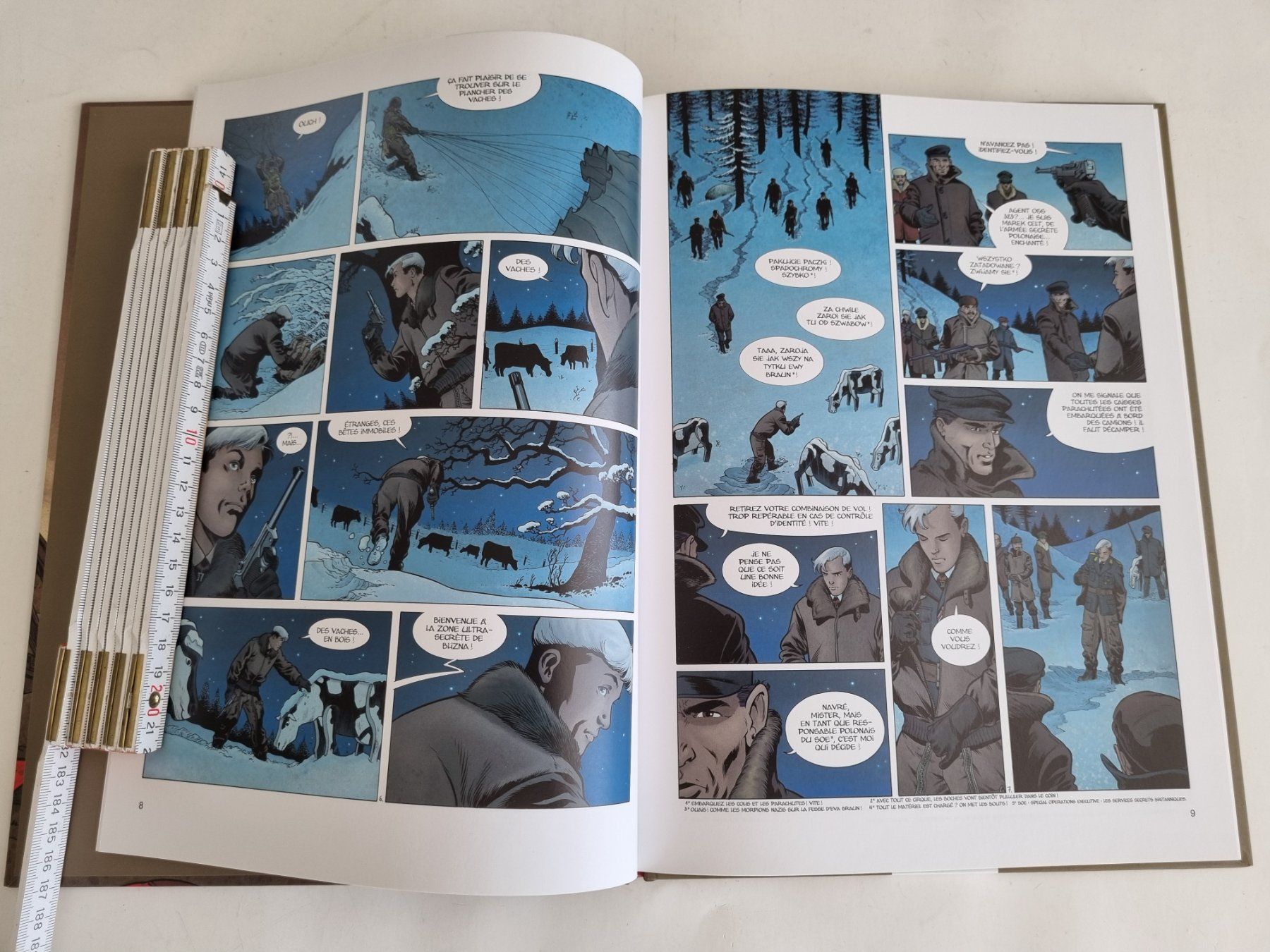 Fumetti: Comic "Dent d'Ours 2. Hanna" Yann & Henriet – Usato da Opfikon venduto da Diversamente 4