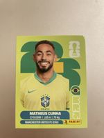 Panini Sticker BRA 17