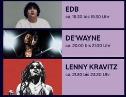 Lenny Kravitz - 2 Tickets für Stars in Town, 5. August 2026