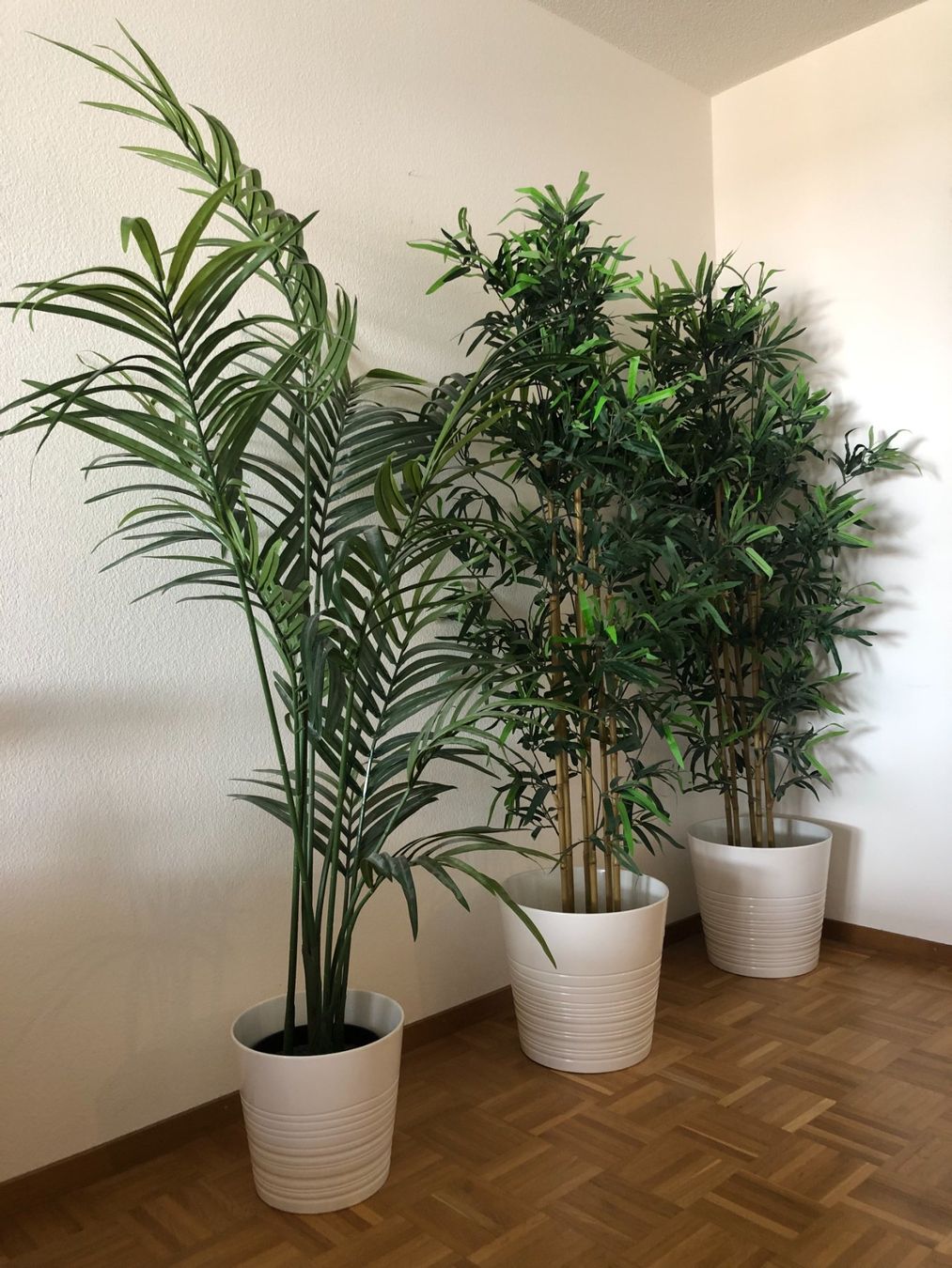 Plantes & graines: 3 Kunstpflanzen inkl. Töpfe IKEA – D'occasion à Zürich par moerday 1