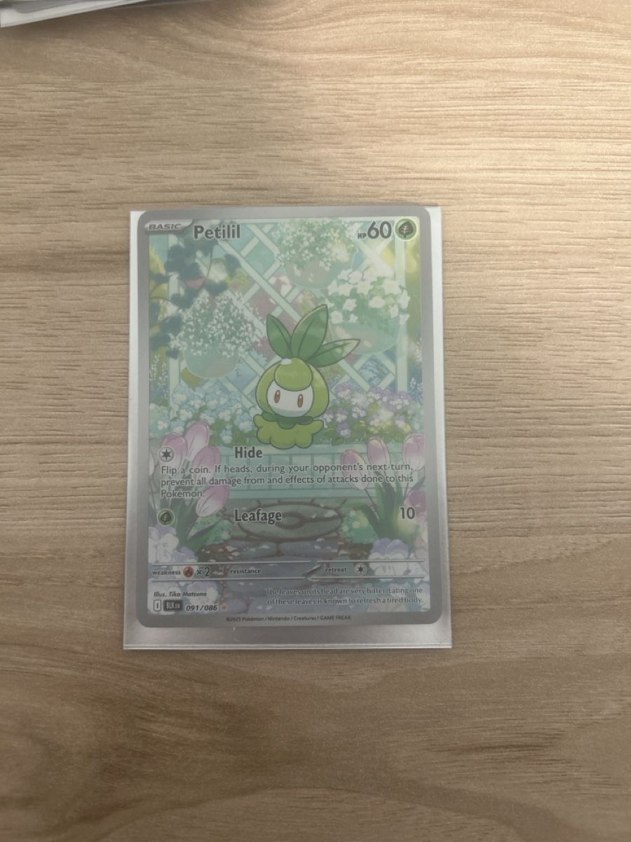 Pokémon Carte collezionabili: Petilil 091/086 – Nuovo (secondo la descrizione) da Wetzikon ZH venduto da Zehra_mne