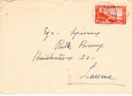Brief, Campione
