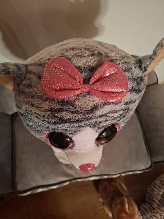 Jouets: Neuwertige grosse Plüschkatze – D'occasion à Gossau SG par ChryslerC300 1