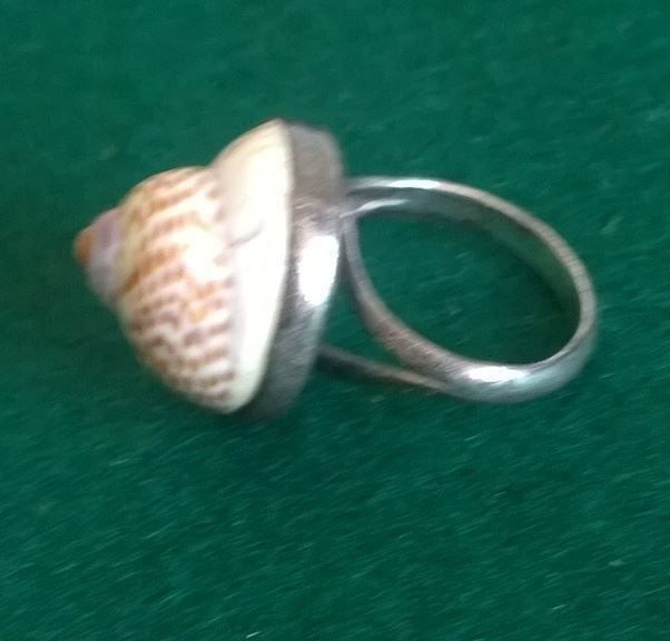 Anelli: SCHNECKENHAUS RING IN 925 SILBER – Usato da Romanshorn venduto da BoutiqueA 3
