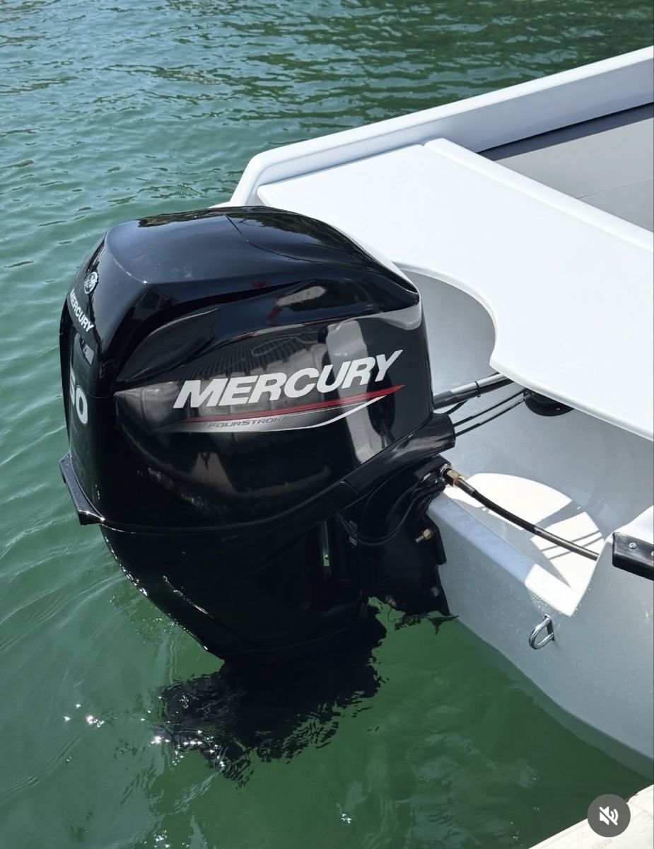 Barche: Swiss Pilotina 5.80 Motorboot – Nuovo (secondo la descrizione) da Solothurn venduto da Eduka72 4
