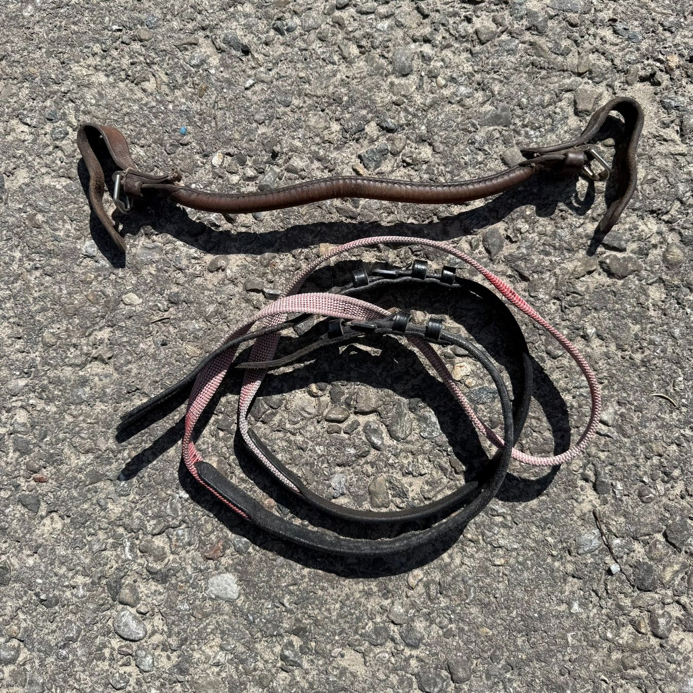 Selle & Accessori: Haltegriff für Reitsattel – Usato da Balgach venduto da ser_d5gt