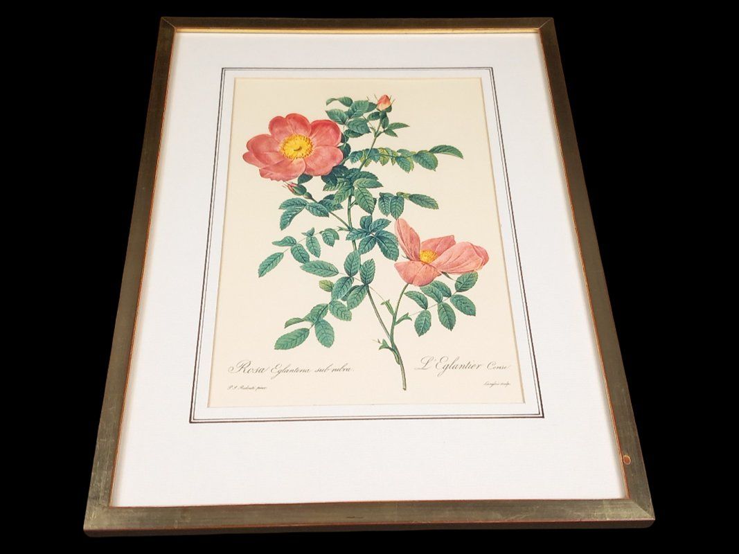 Poster & Bilder: Blumenbild in Bilderramen – Gebraucht aus Hünenberg von Restwert_Zug 1
