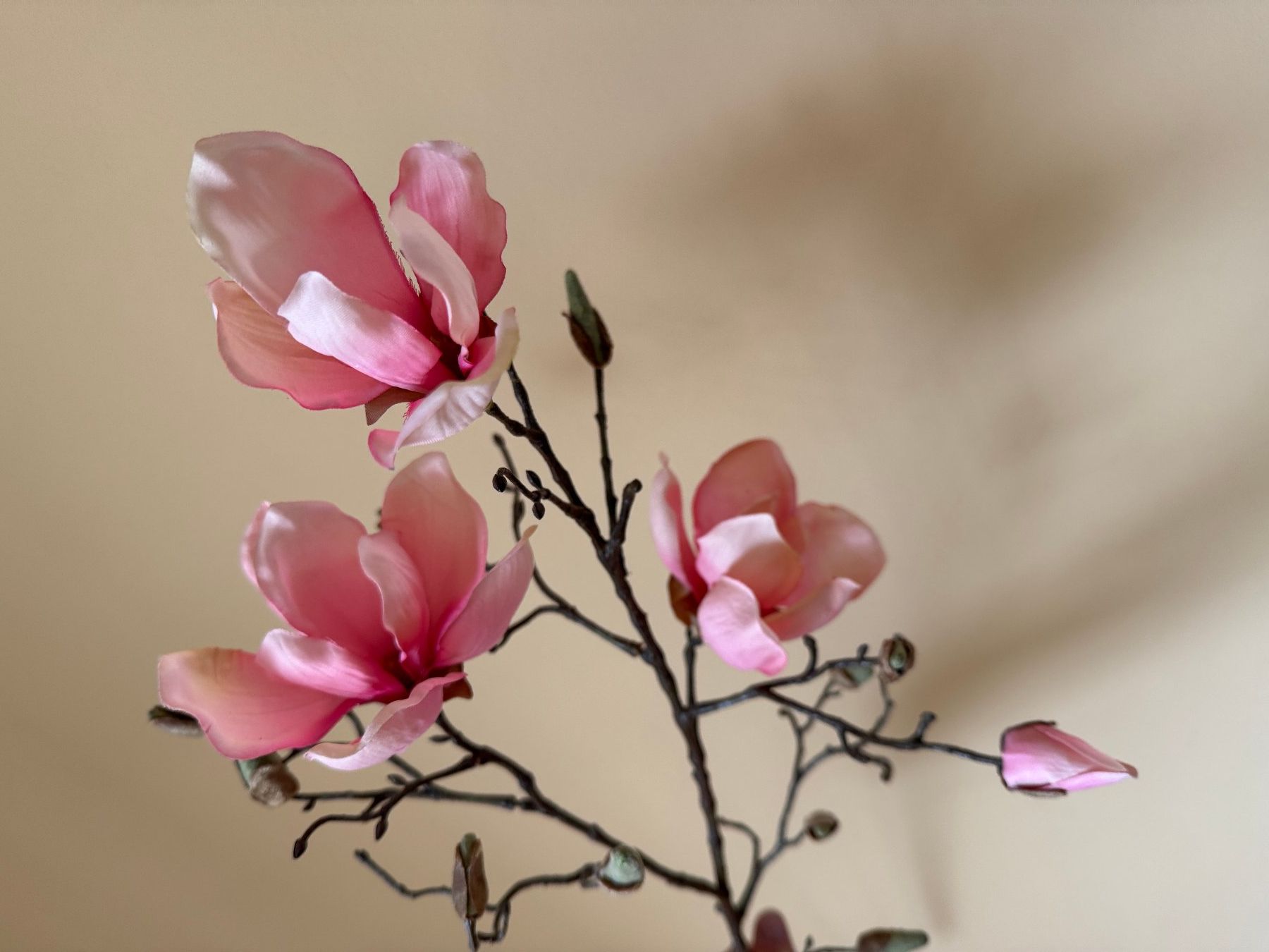 Tutte le decorazioni: Plastikblume (Dekoration) – Usato da Stäfa venduto da koopjesnu