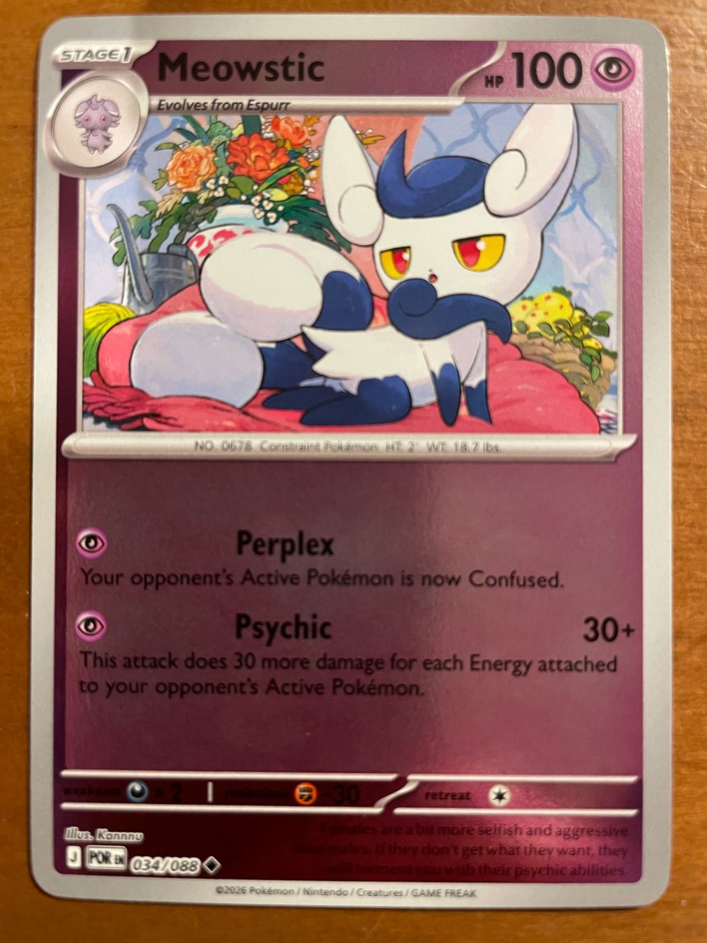 Pokémon Carte collezionabili: Pokemon Meowstic Reverse (Versand gratis) – Nuovo (secondo la descrizione) da Chur venduto da Angerson