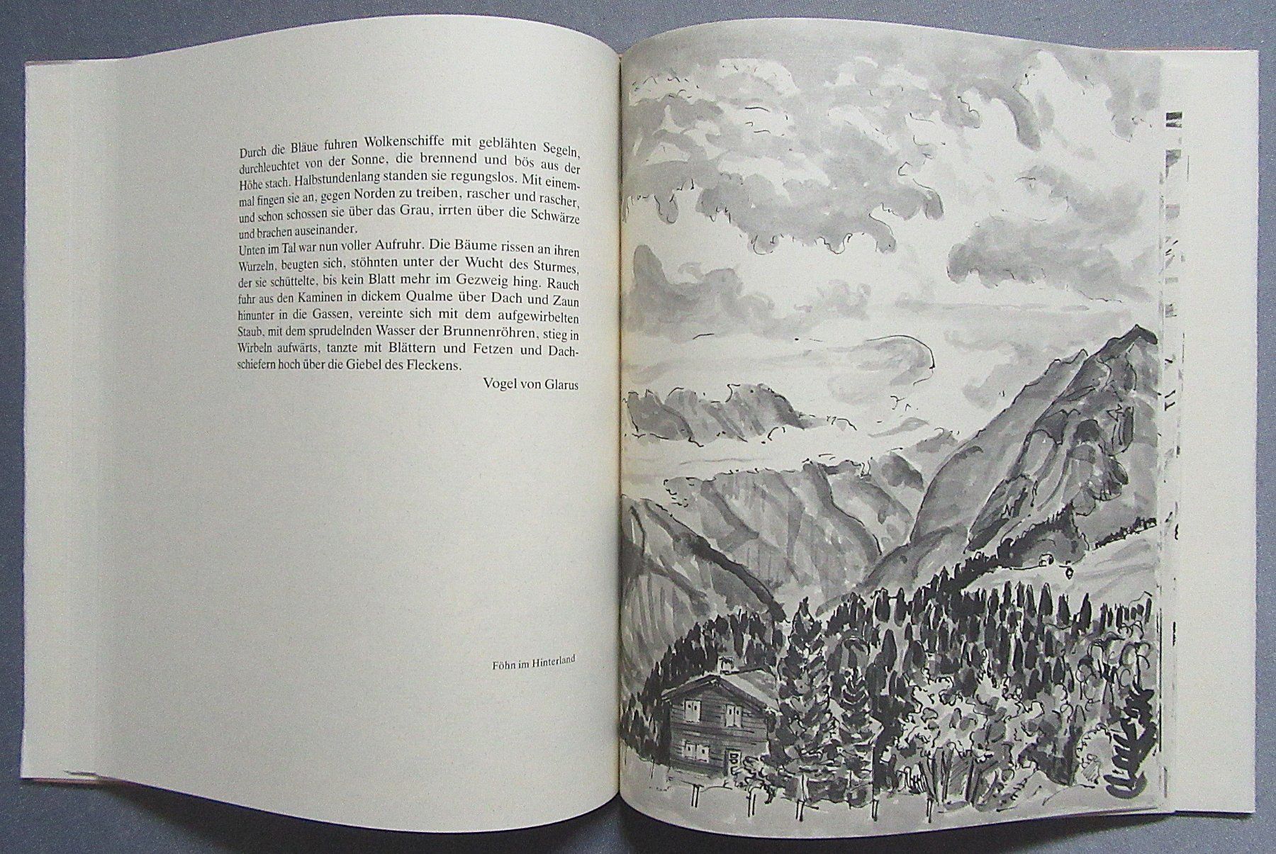 Libri: Braunwalder-Skizzen von Ernst Weber – Usato da Auenstein venduto da Padabimbim 5
