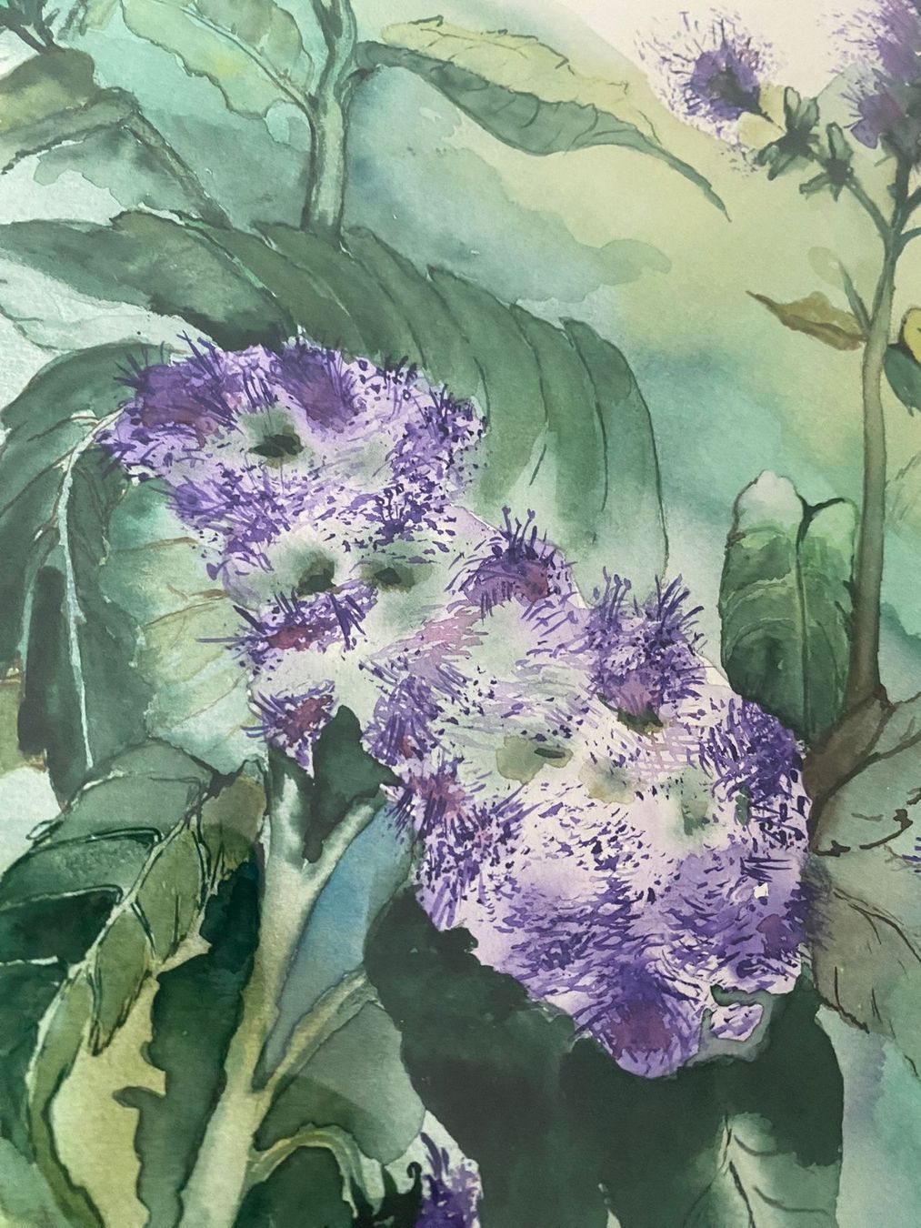 Dipinti: Aquarell, gerahmt, verglast – Usato da Chur venduto da bemaha 2