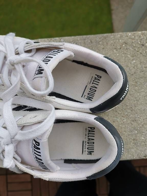 Palladium Scarpe da donna: Palladium Damenschuhe Sneakers 37 – Nuovo (secondo la descrizione) da Thun venduto da yannisgu 4