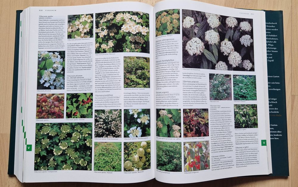 BOTANICA Buch mit über 1000 Seiten! Kaufen auf Ricardo