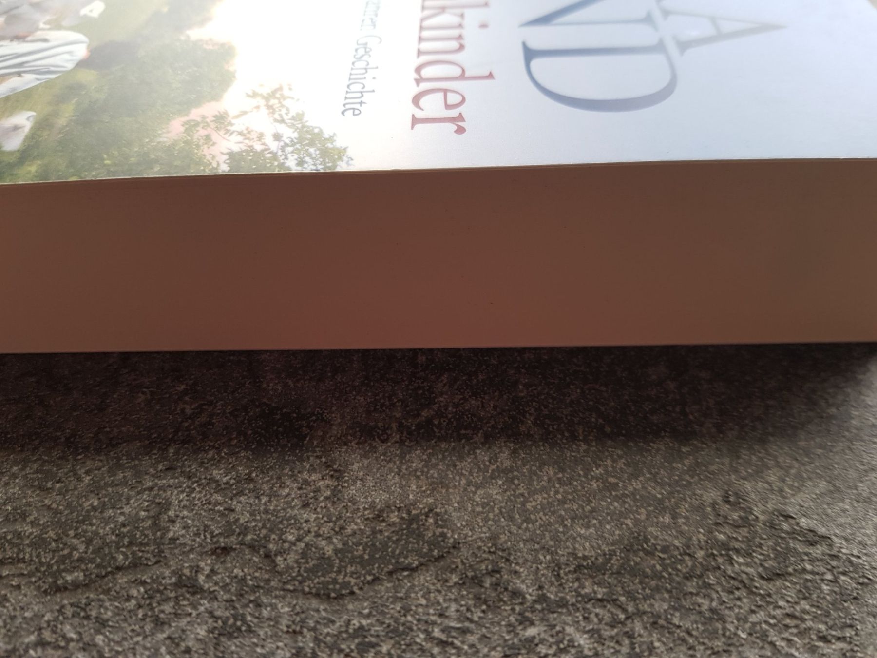Libri: Drachenkinder / Hera Lind / Roman – Usato da Dietikon venduto da marconi07 2