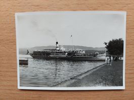 Altes orig. Foto Schiff Dampfer Stadt Rapperswil