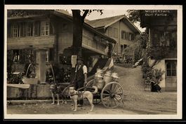 Wilderswil, Dorf-Partie mit Hunde-Milchk