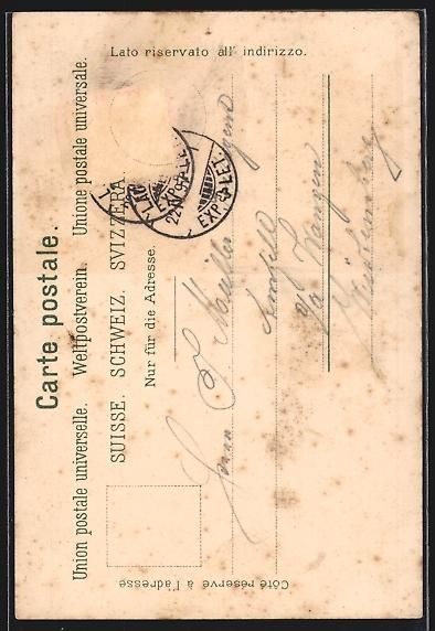 Cartoline postali: Litho Lac Leman, Dent du Midi, Segelschi – Usato da Berlin venduto da bartko-reher 1