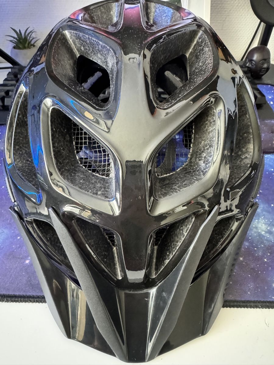 Alpina Casques: Alpina Velohelm – D'occasion à Luchsingen par Hans-Maulwurf 1