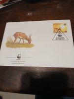 WWF Botswana 1990 - Premier jour, Gaborone - Antilope!