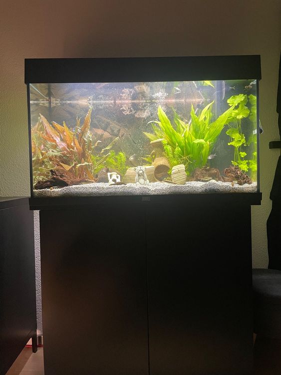 Aquarium Juwel 125 Liter Kaufen auf Ricardo