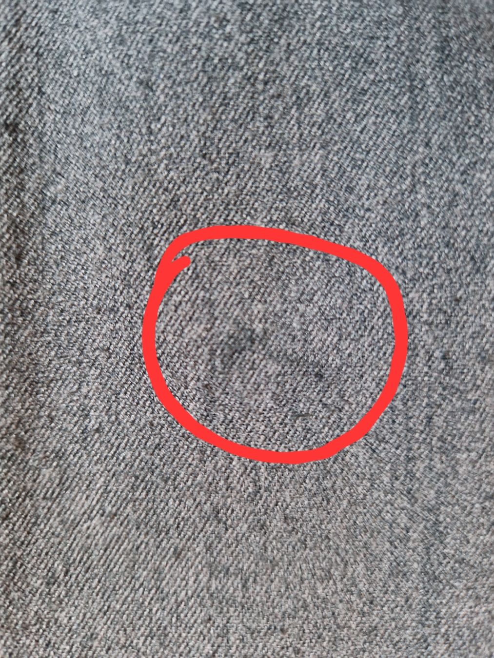 Giacche: Damen Übergangsjacke – Usato da Muri b. Bern venduto da mlu_vgj7 4
