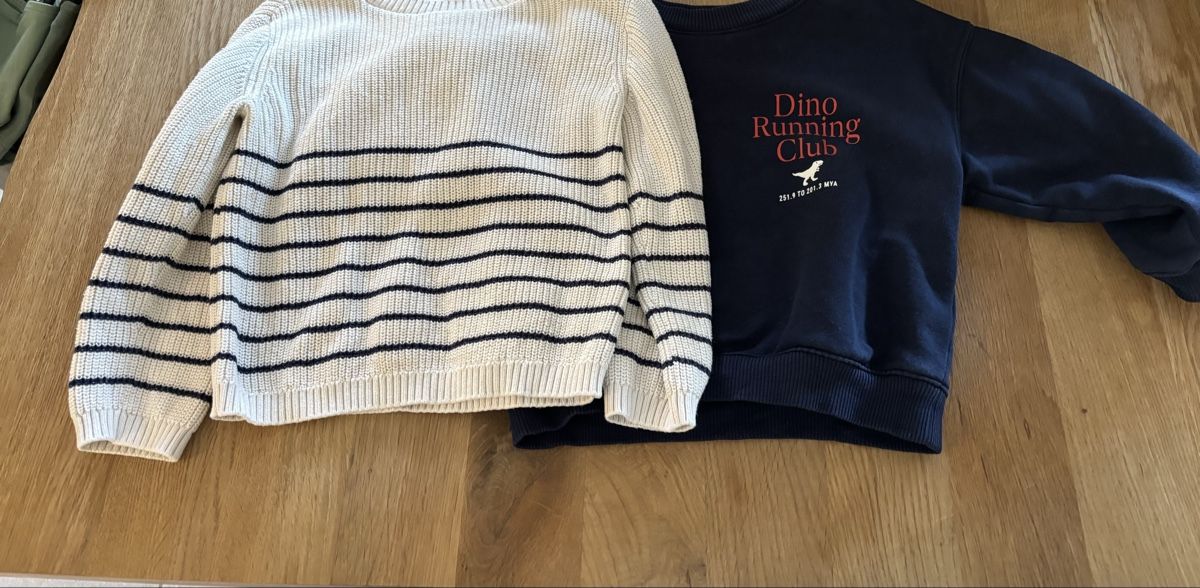 Maglioni & Felpe: 2 Pullover, Grösse 86/92 – Usato da Schleinikon venduto da Jessica_Lutishi