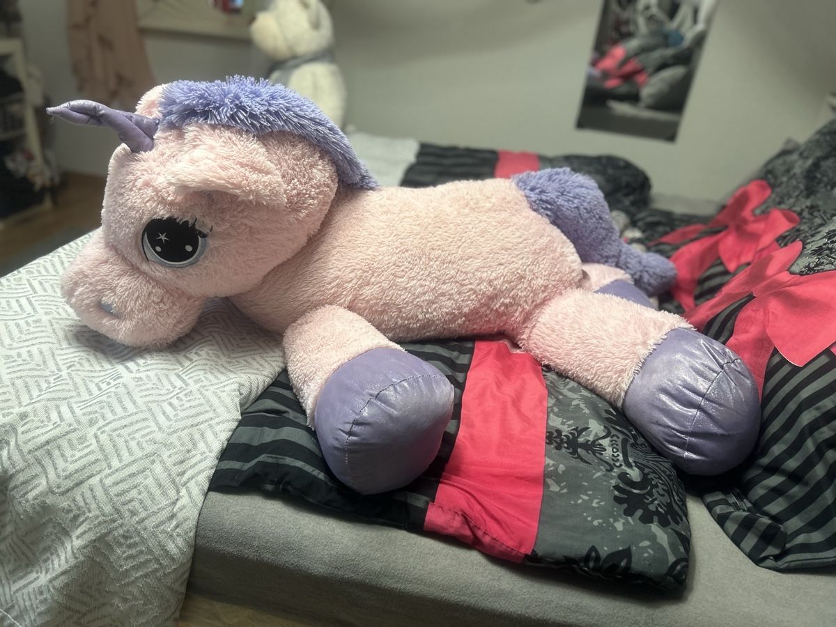 Giocattoli: Plüsch Einhorn Plüschtier – Usato da Mühledorf SO venduto da Dania77 3