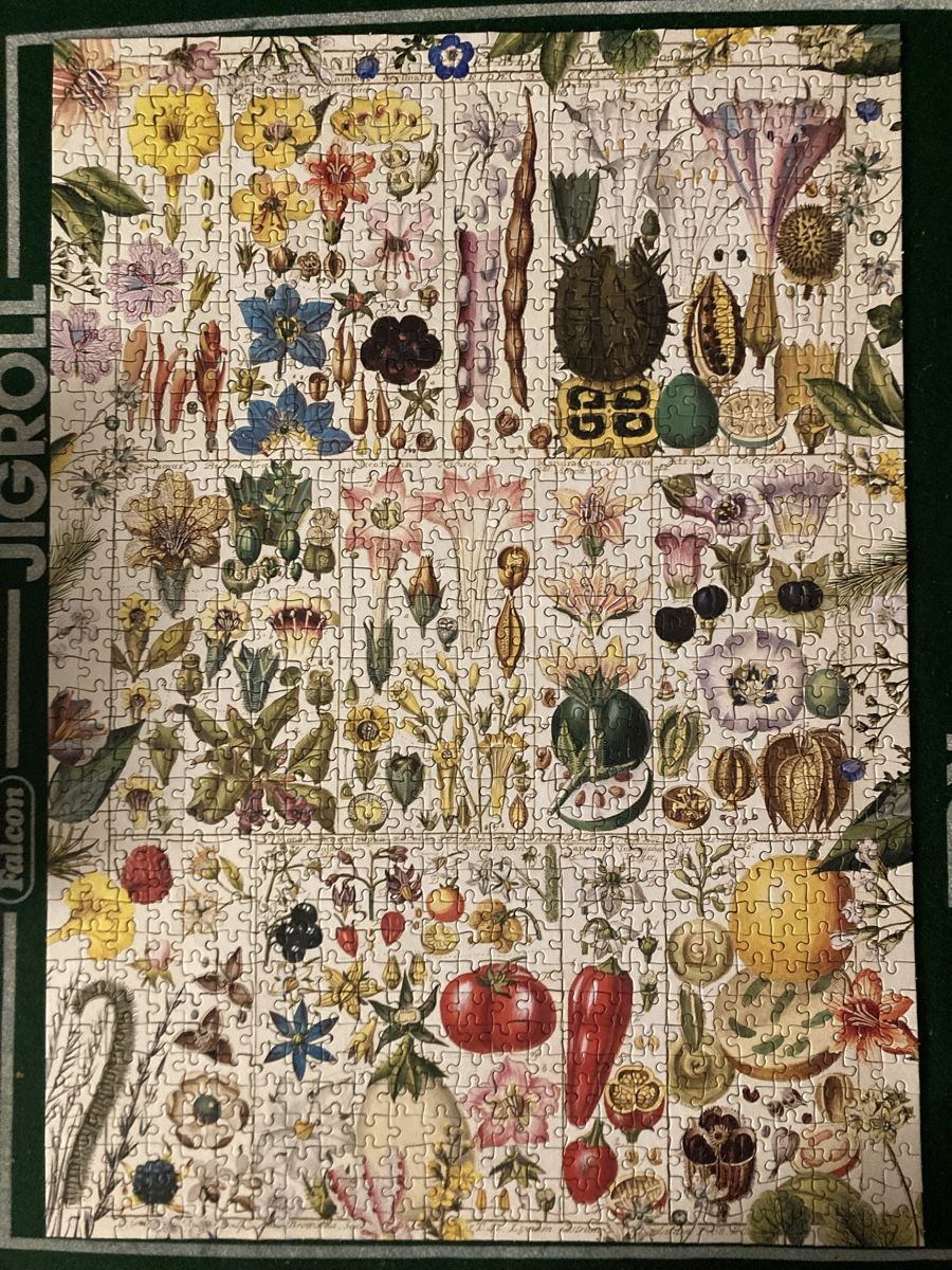 Puzzle: Puzzle Botanical Bliss Gibsons 1000 Teils – Usato da Zürich venduto da Ekka 1