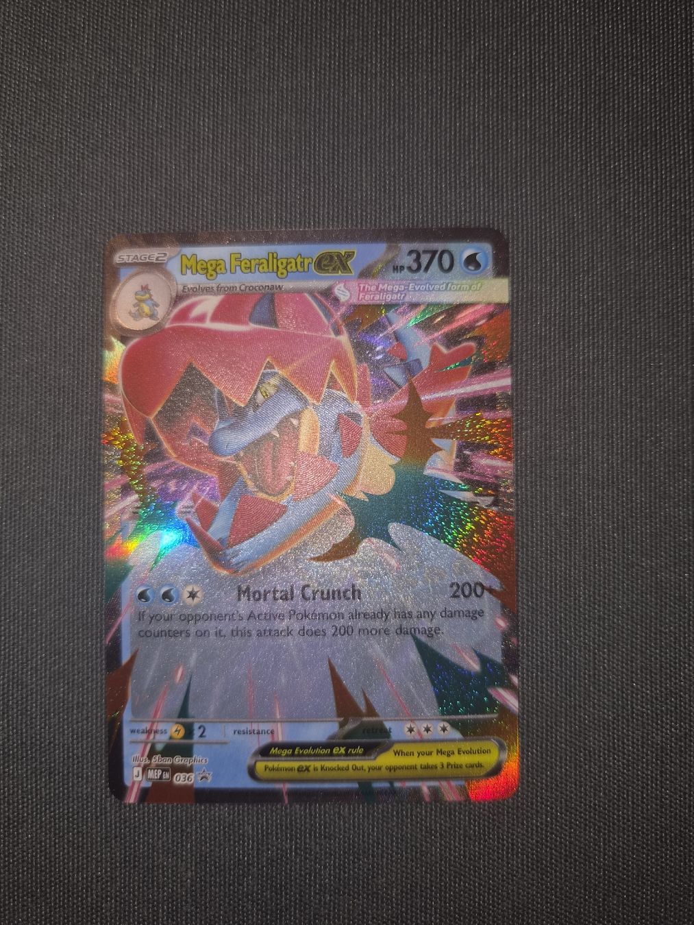 Pokémon Carte collezionabili: Mega Feraligatr ex Ascend Hereos – Nuovo (secondo la descrizione) da Les Acacias venduto da S.Vieira