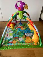 Fisher Price Spielbogen🐒🦜