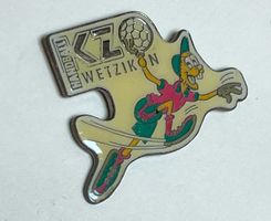 Pin Handball Wetzikon
