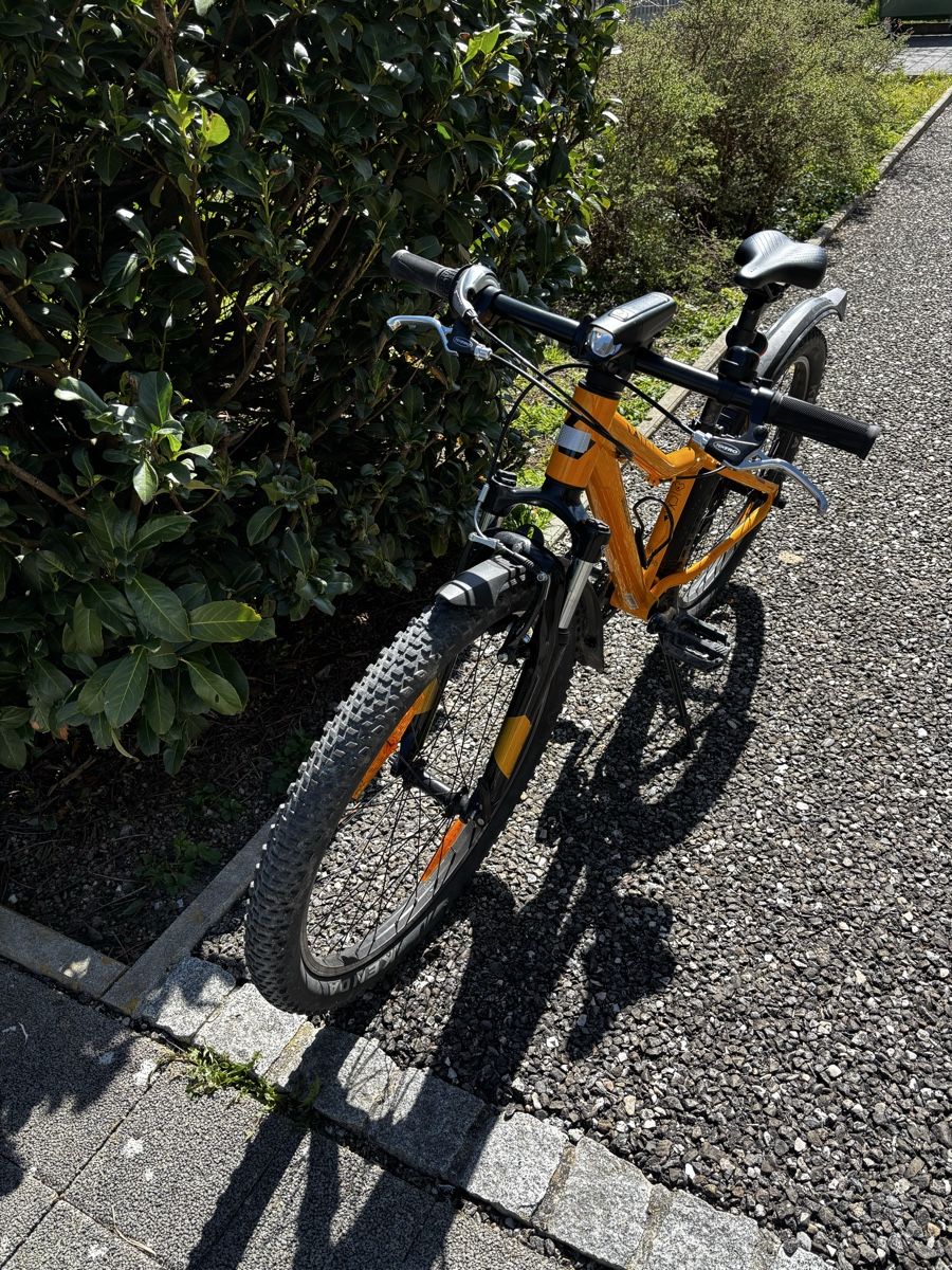 Bergamont Velos: Bergamont Revox 24 Zoll Kindervelo, Orange! – Gebraucht aus Niederwangen b. Bern von muidop 1