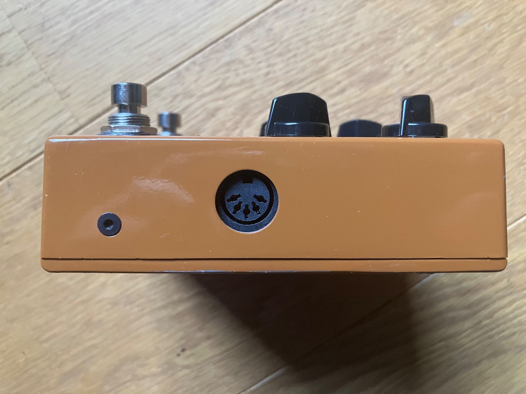 Strumenti musicali: T-Rex Replica Delay Pedal – Usato da Bösingen venduto da Taeke 2
