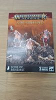 Warhammer AoS Spearhead Sons of Behemat